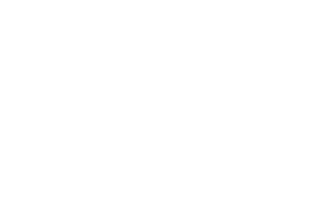Dahan Capital logo white
